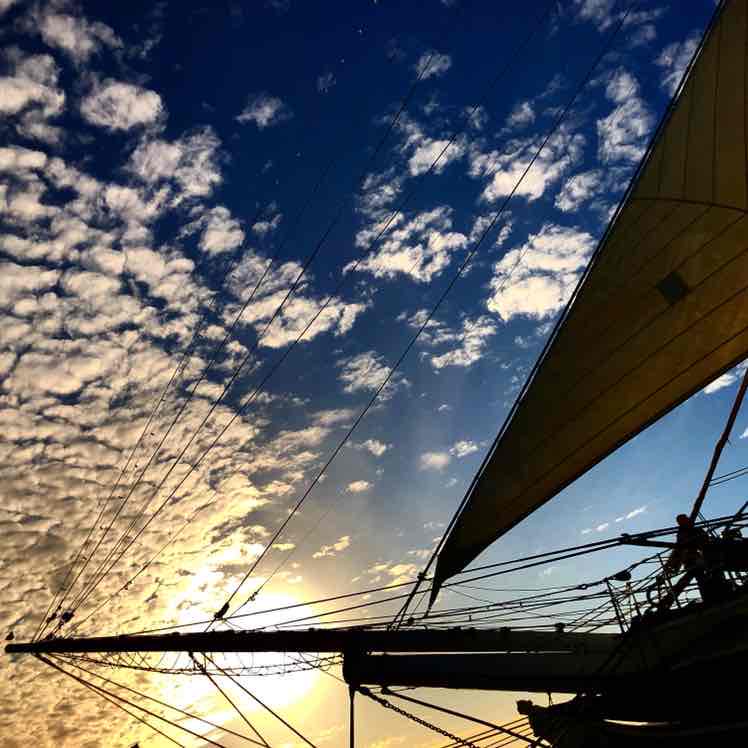 Ricardo ♐️ post 1