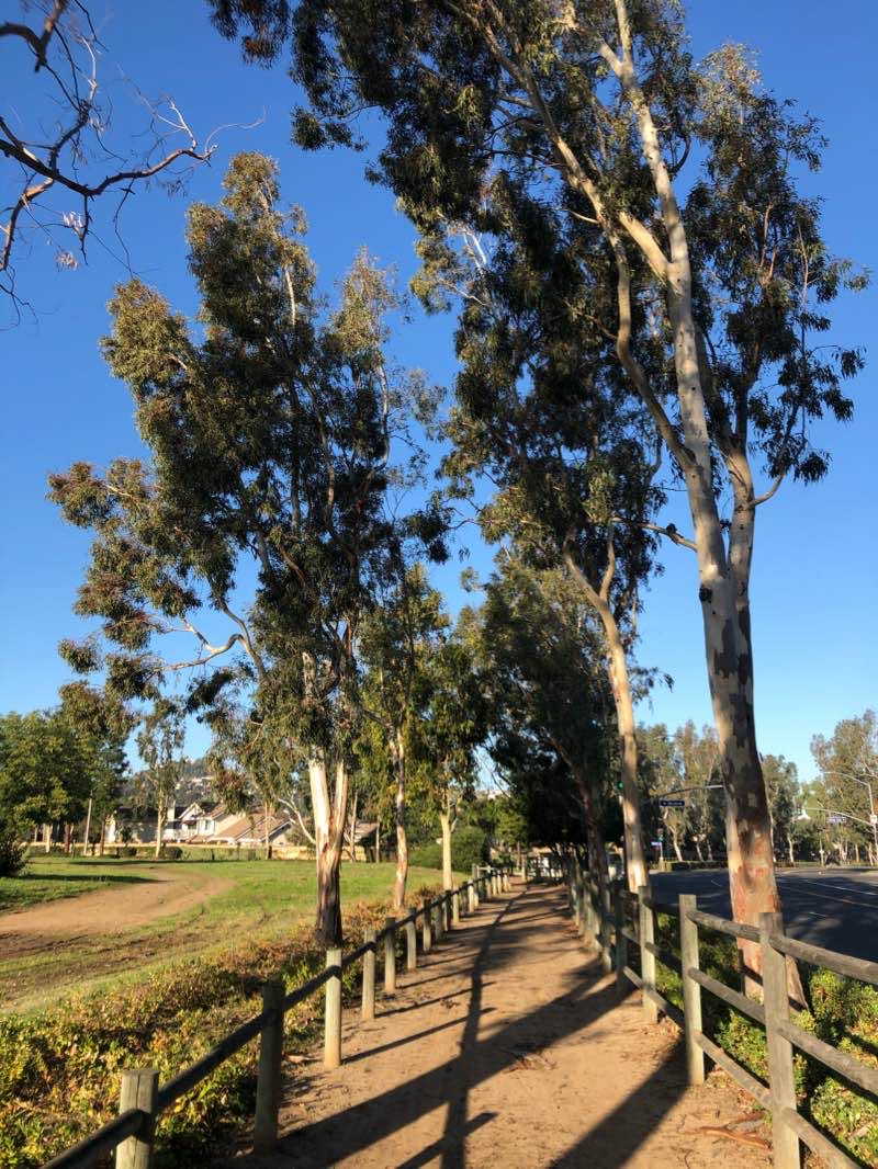 walking near me in Cedar Grove Park in winter