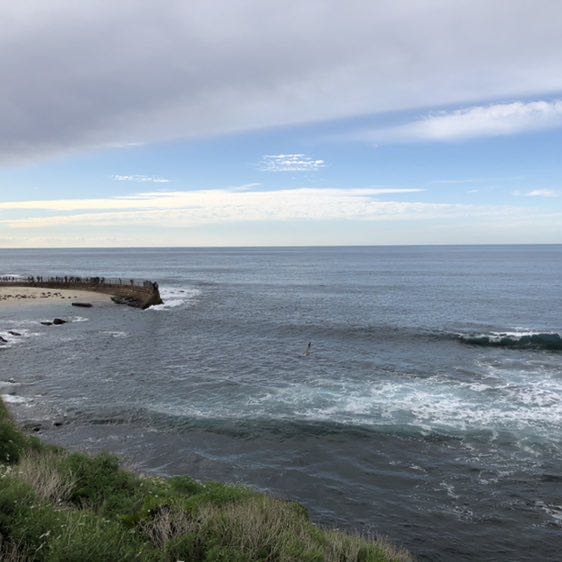 Ricardo ♐️ post 3