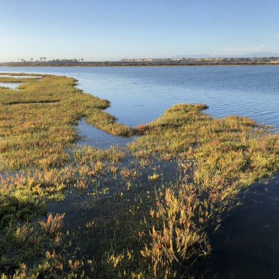 Ricardo ♐️ post 3