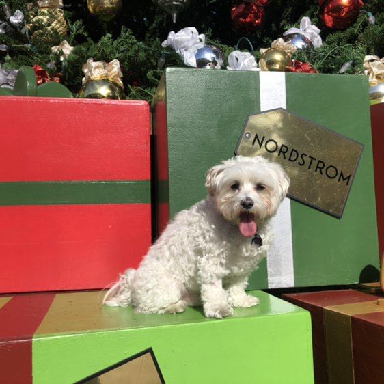 Ricardo ♐️ post 1