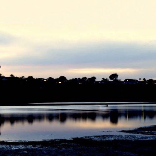 Ricardo ♐️ post 2