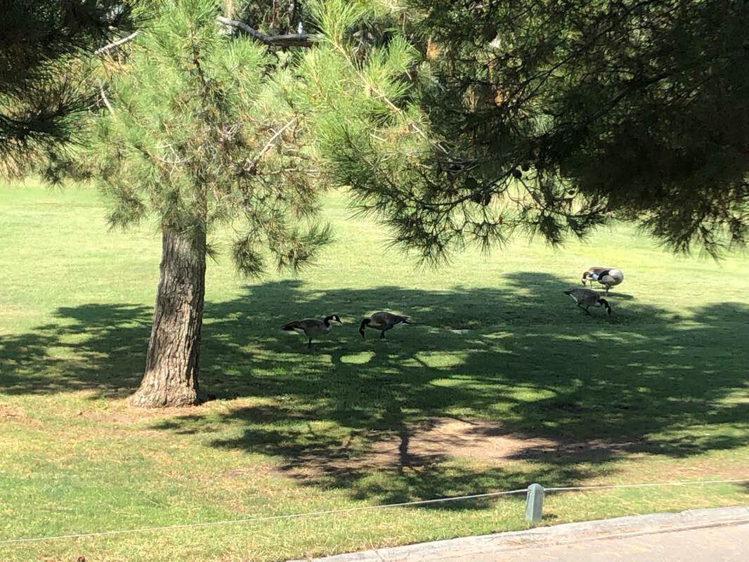walking near me in Laurel Glen Park in winter