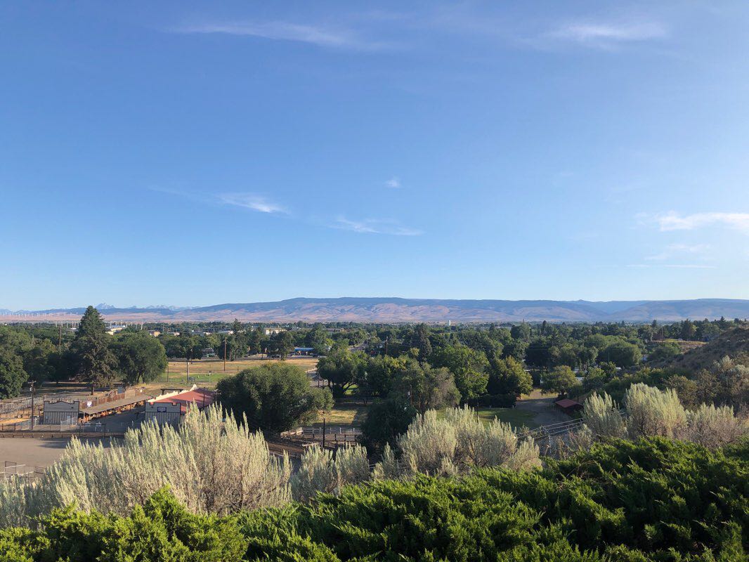 walking near me in Reed Park in winter