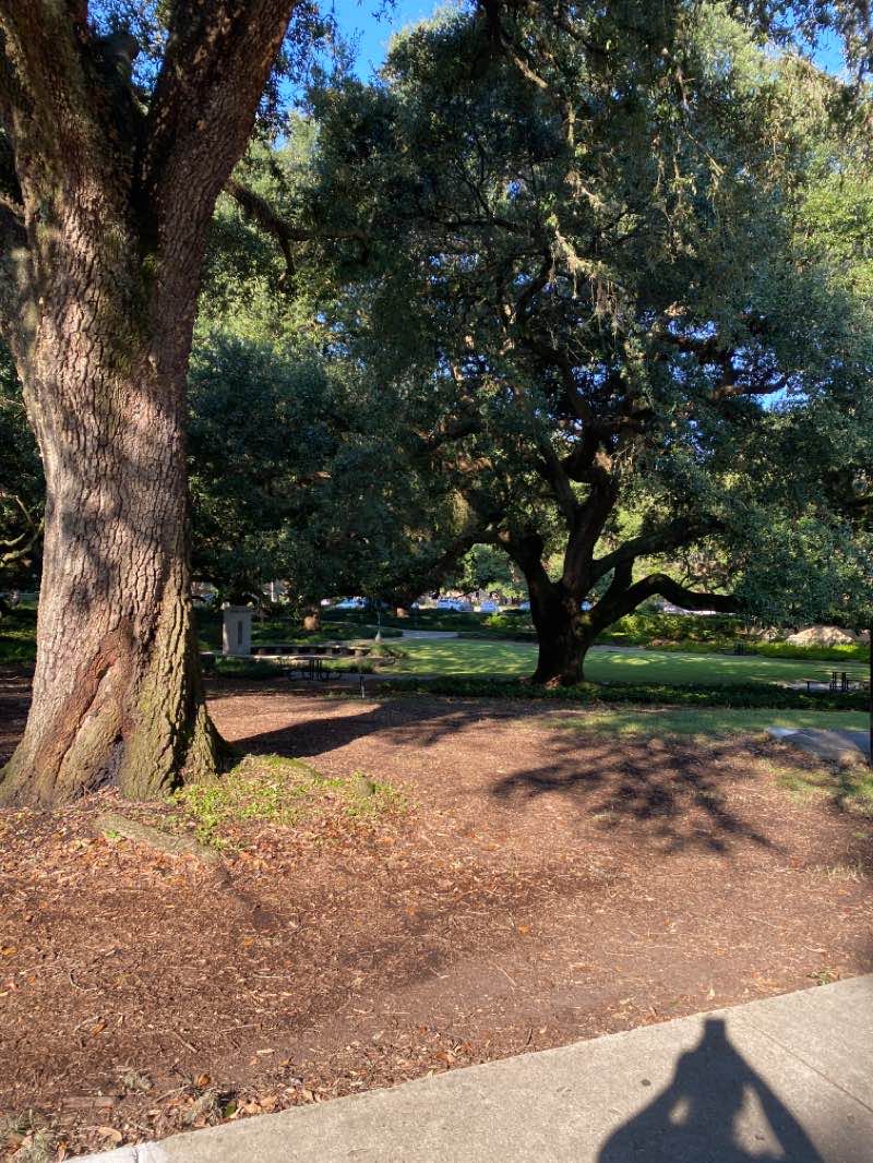 walking near me in Parade Grounds in winter
