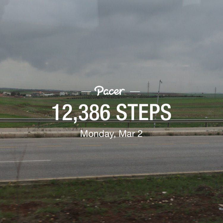 Mujahid Al-Kolaibi post 1