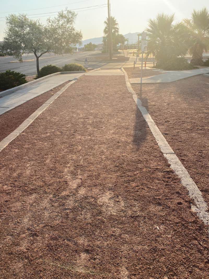 walking near me in Ponder Park in winter