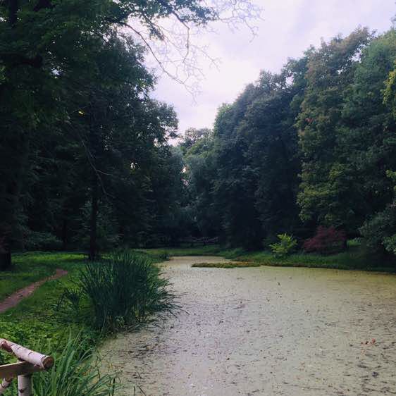 Ярослав post 2