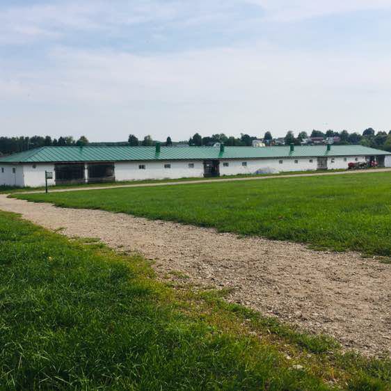 Ярослав post 2