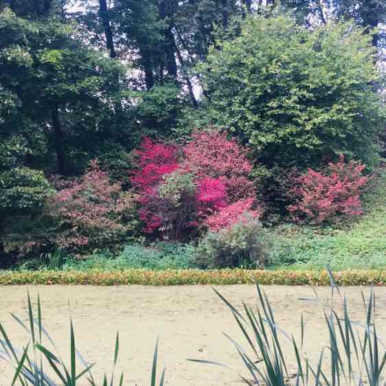 Ярослав post 3