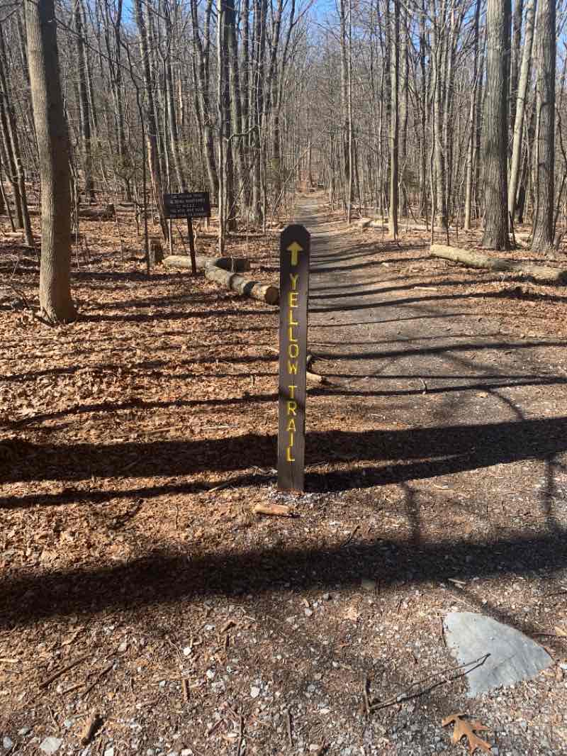 walking near me in Gambrill State Park in winter