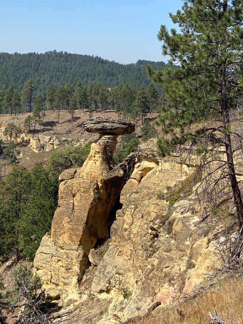 walking near me in Devils Tower National Monument in winter