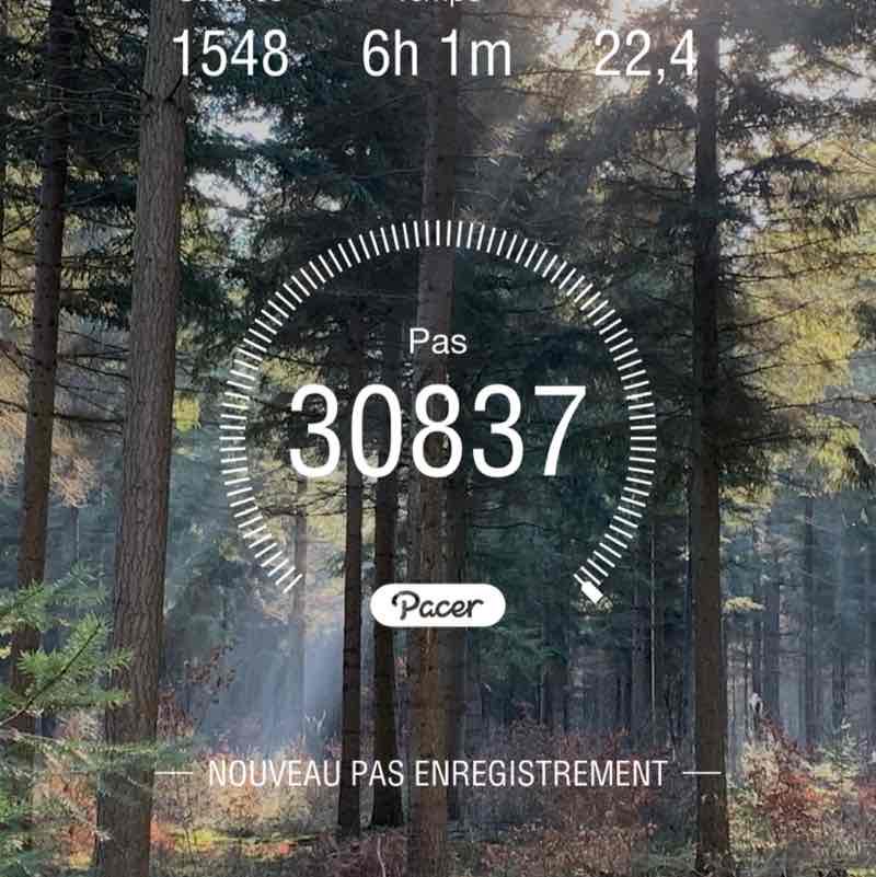 Nicolas 28100 post 1