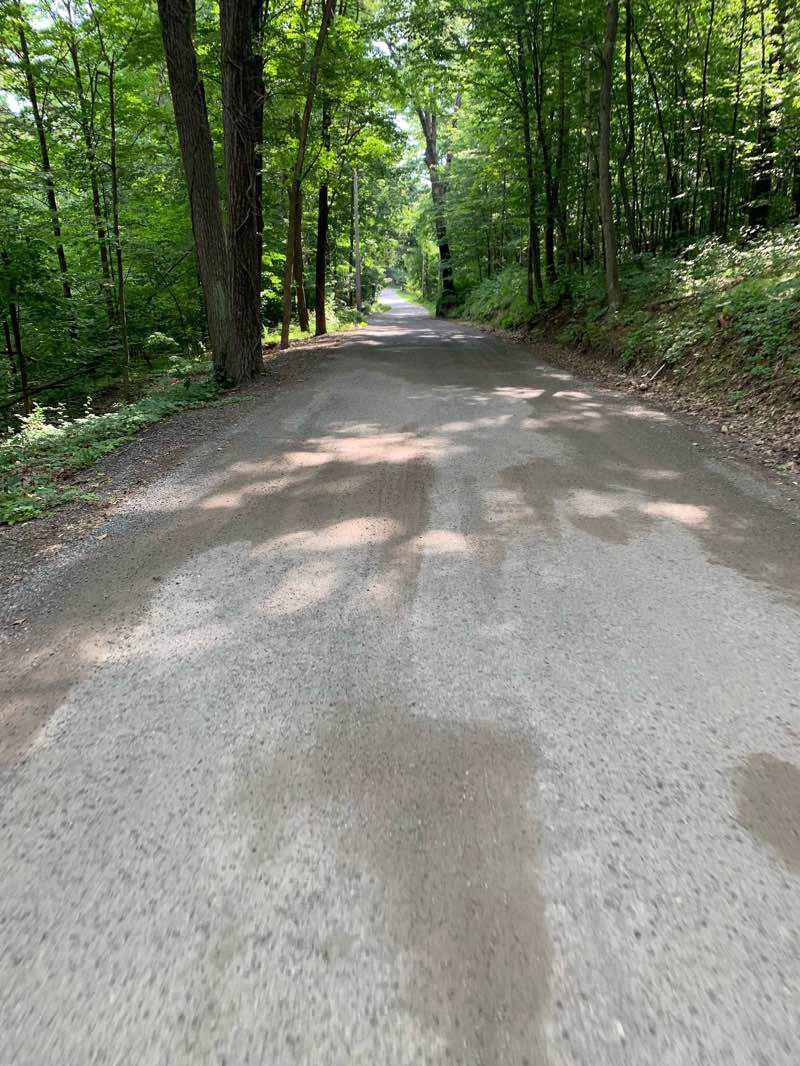 walking near me in Pine Meadow Conservation Land in winter