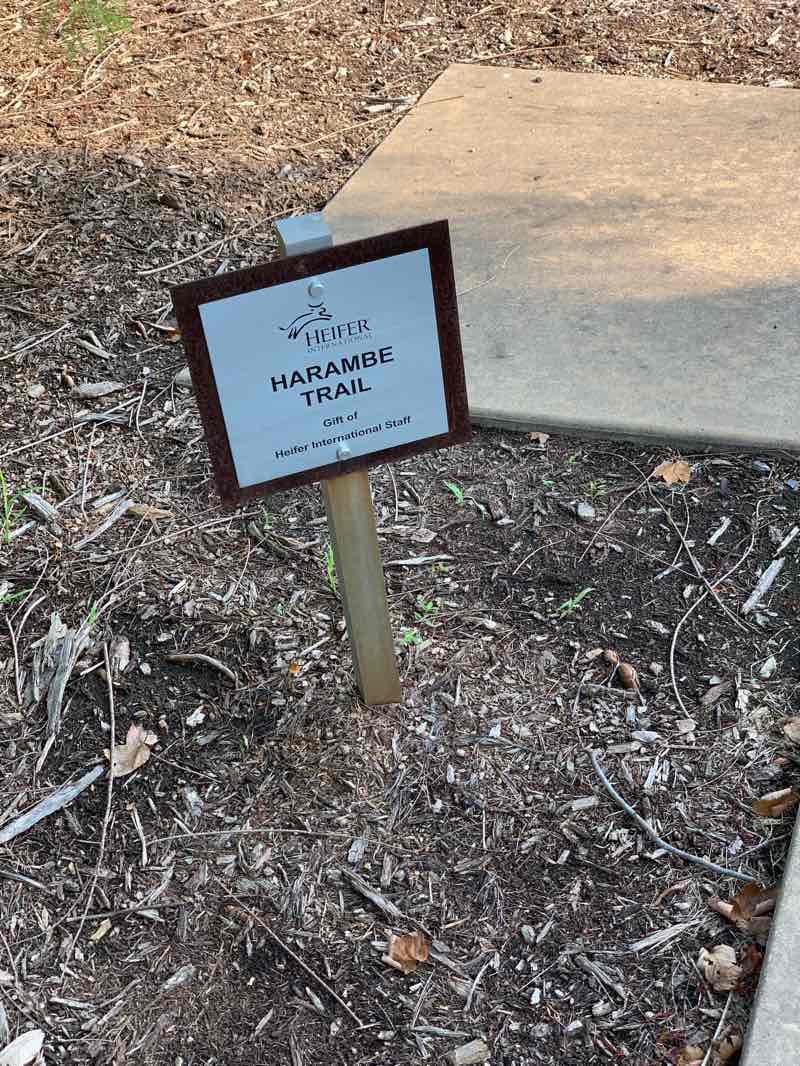 walking near me in Dickey-Stephens Park in winter