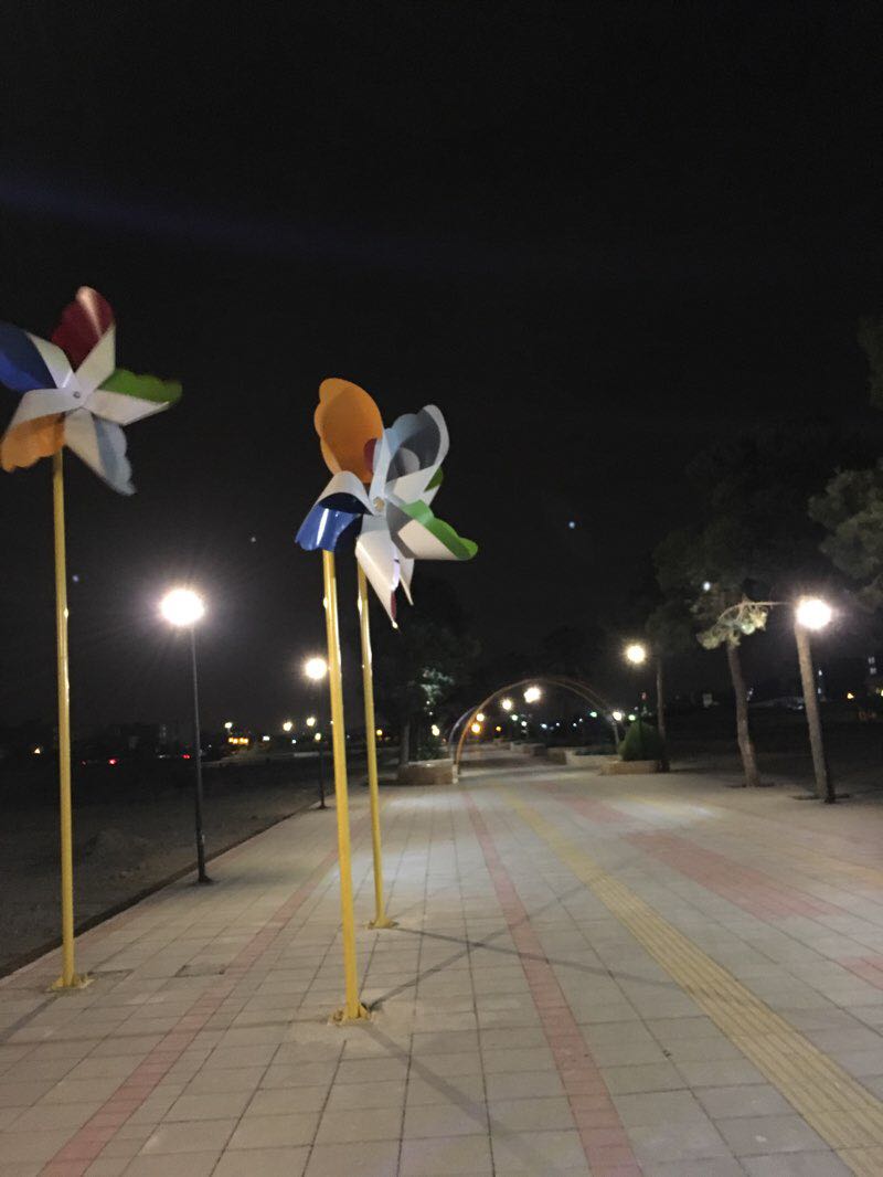 walking near me in بوستان بهشت in winter