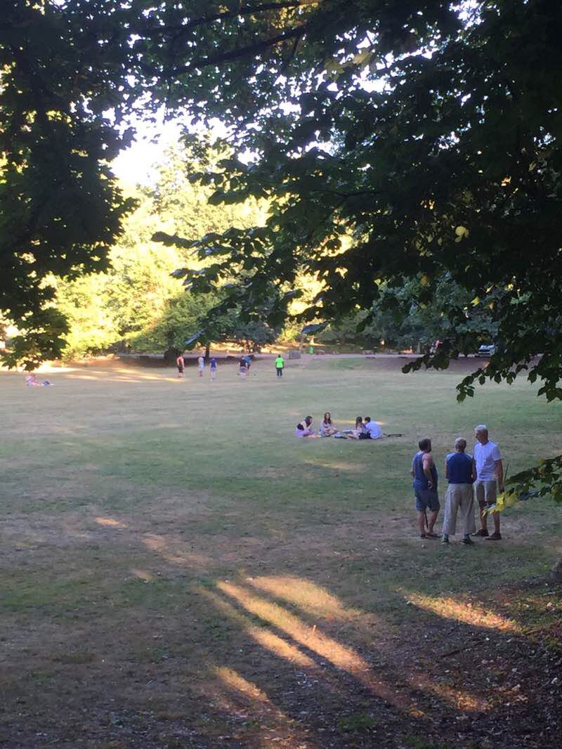 walking near me in Stadtgarten in winter