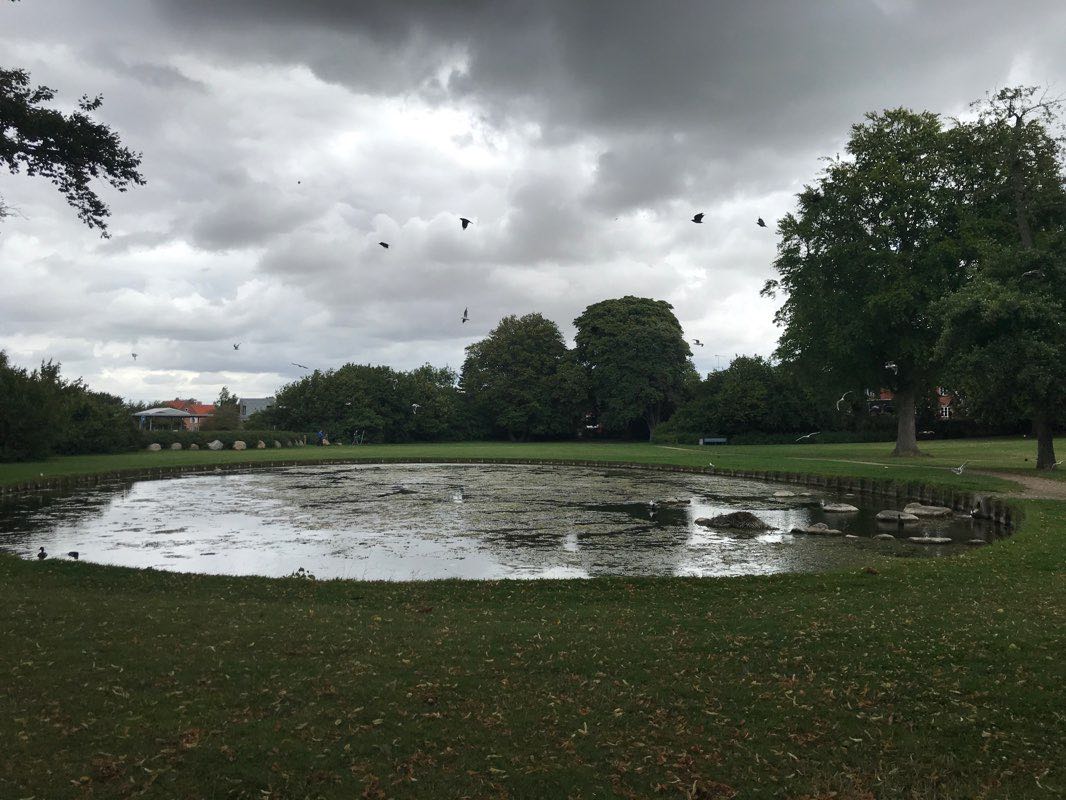 walking near me in Provstemarken in winter