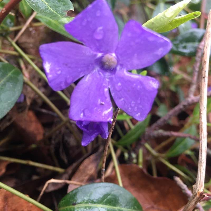 nicola.heppner post 2