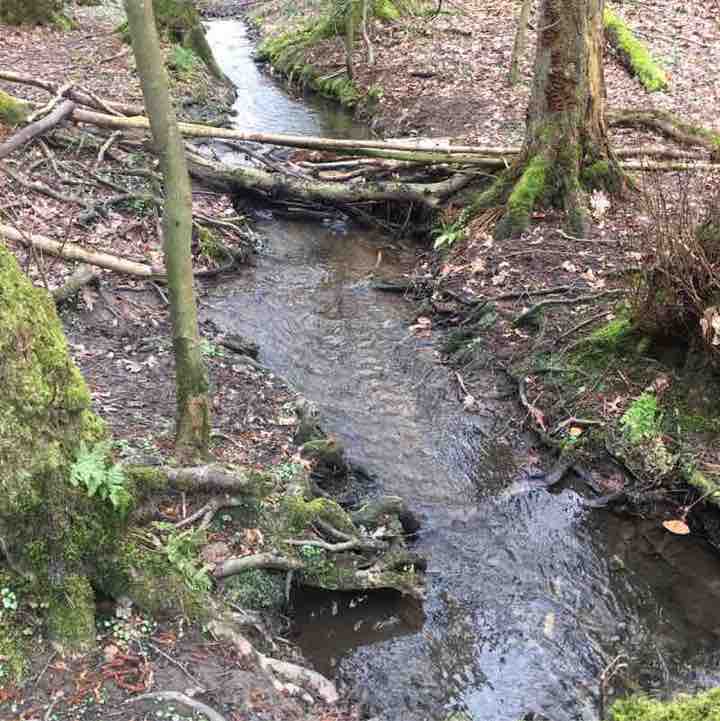 nicola.heppner post 3