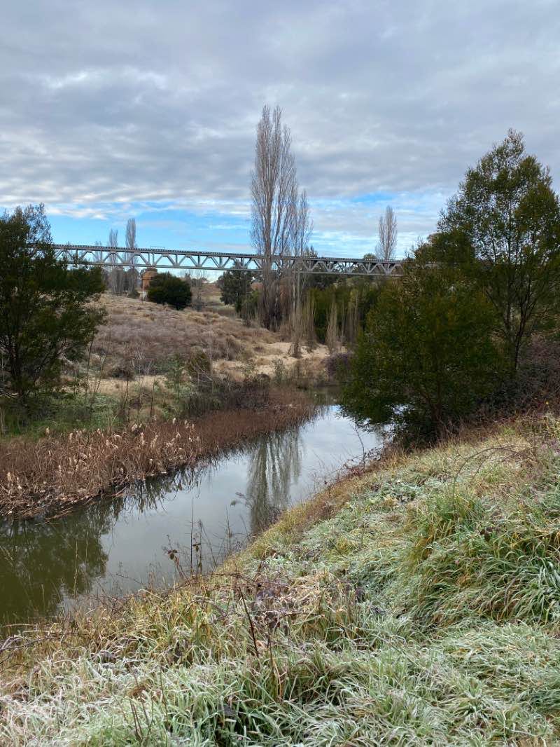 walking near me in Queanbeyan River Olympic Corridor Park in summer