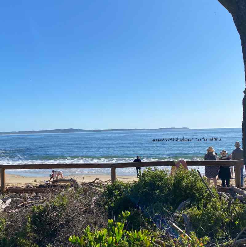 Agata 🇦🇺 🇵🇱 post 3