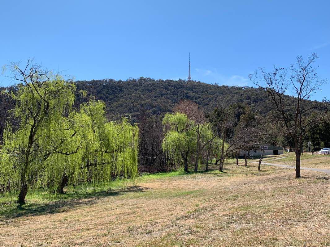 walking near me in Black Mountain Peninsula District Park in summer