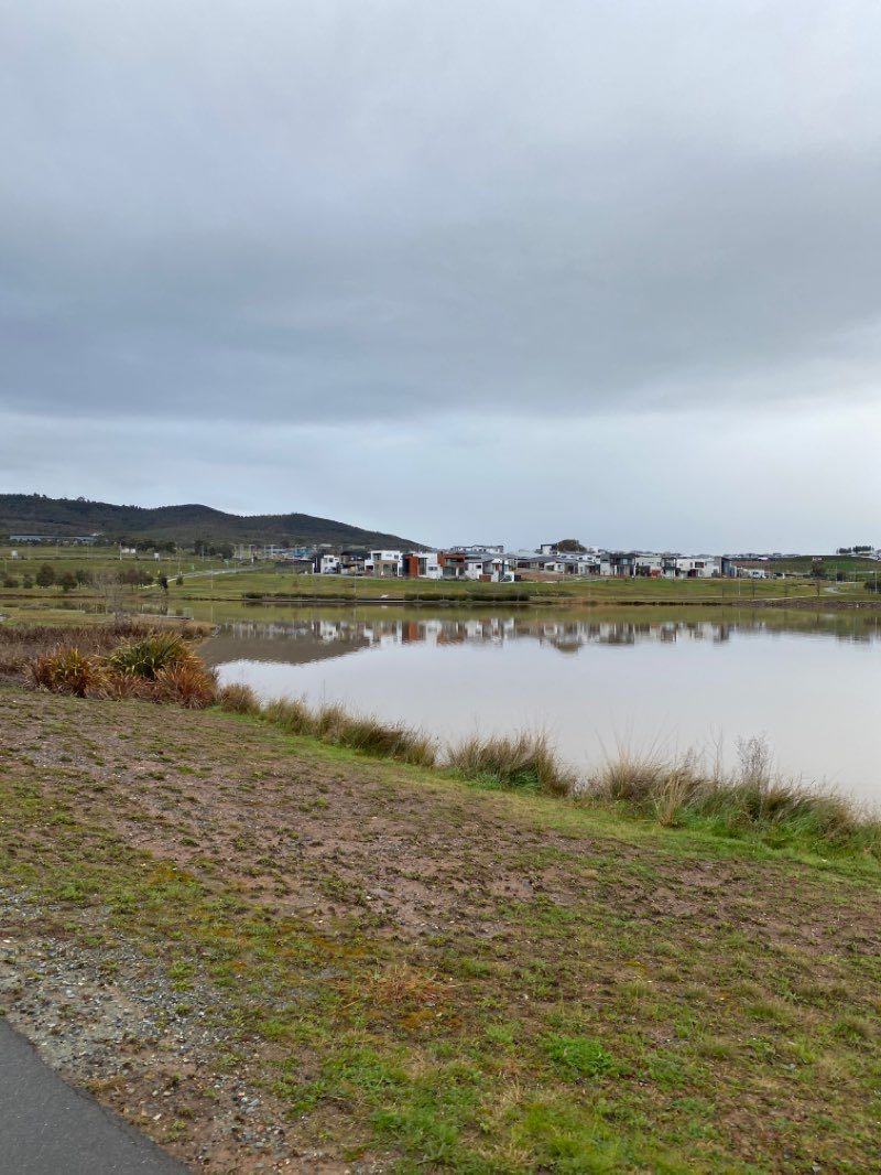 walking near me in Argus Park in summer