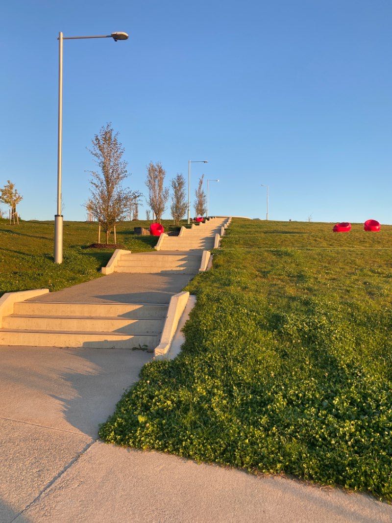 walking near me in Denman Prospect Ridgeline Park in summer