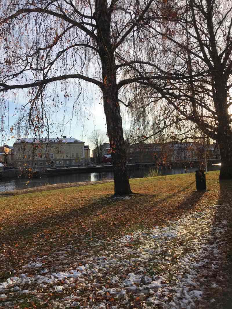 walking near me in Teaterparken in winter