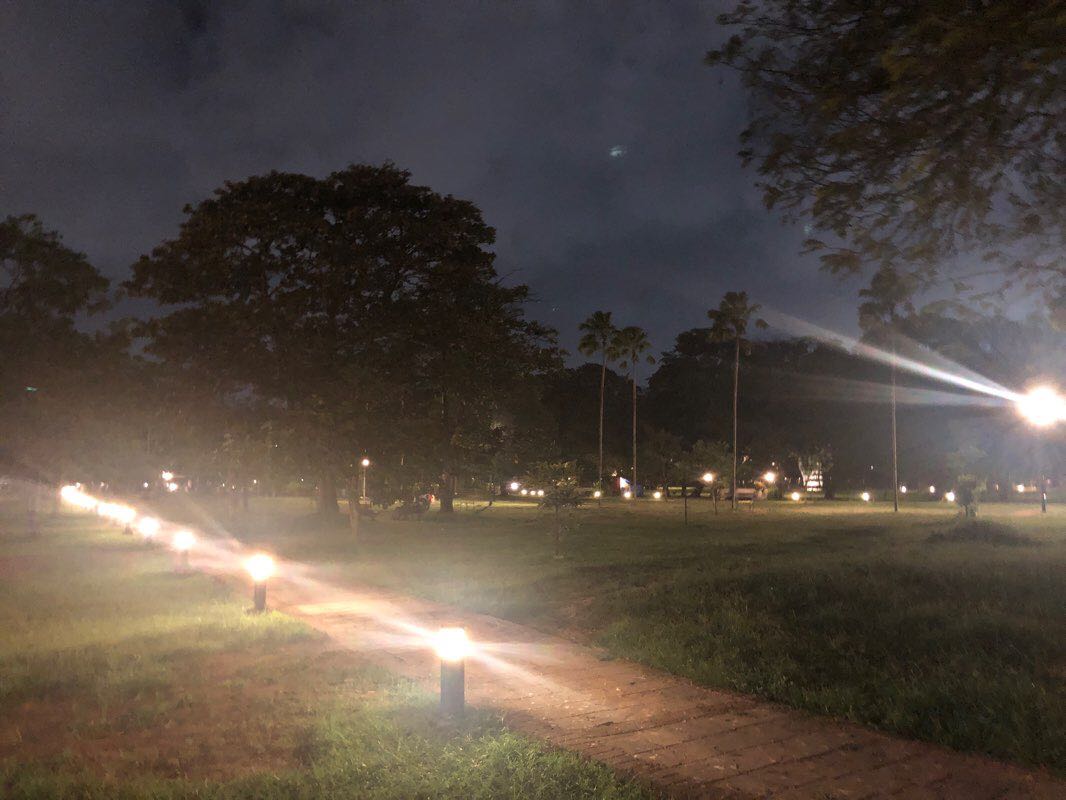 walking near me in Vihara Maha Devi Park in winter