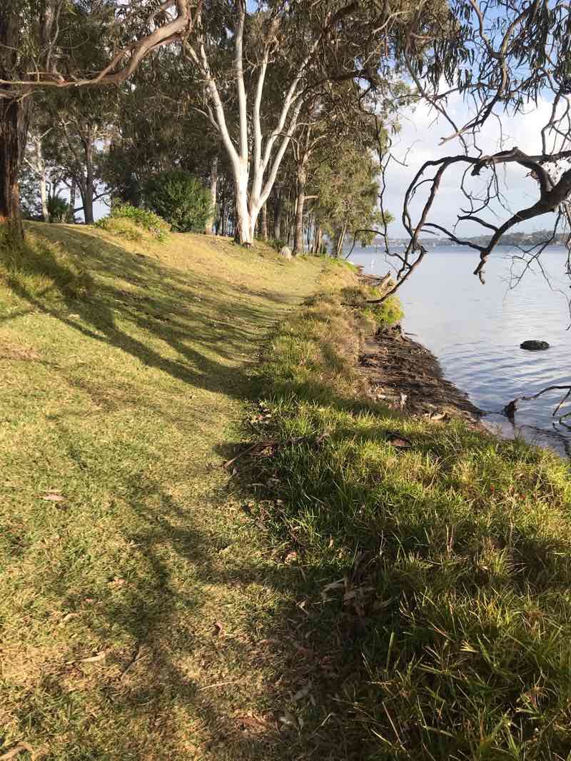 walking near me in Summerland Park in summer