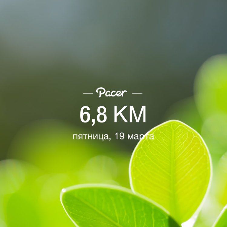 Ярослав post 1