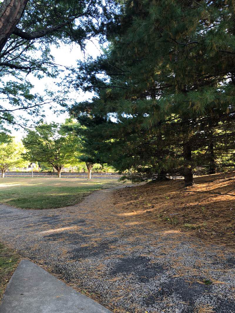 walking near me in Tsongas in winter