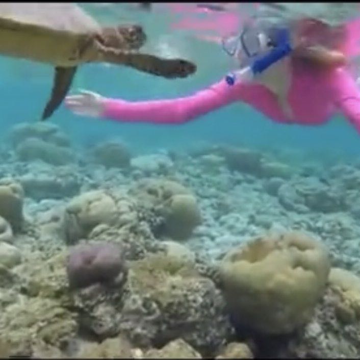 svetafedotova3103 post 3