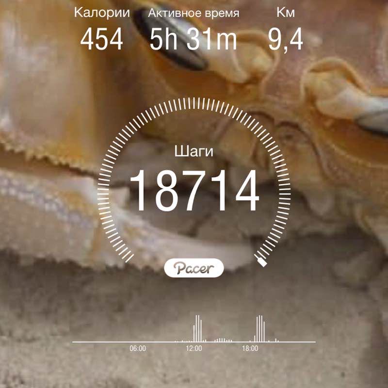 svetafedotova3103 post 1