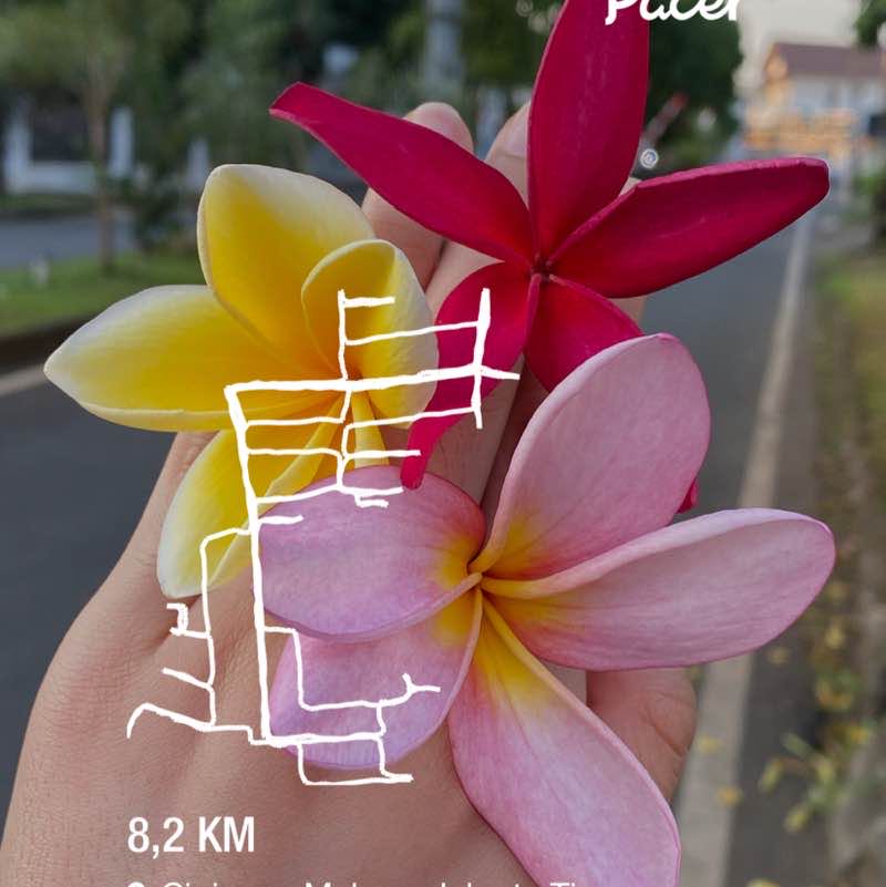 patio.alfredo post 1