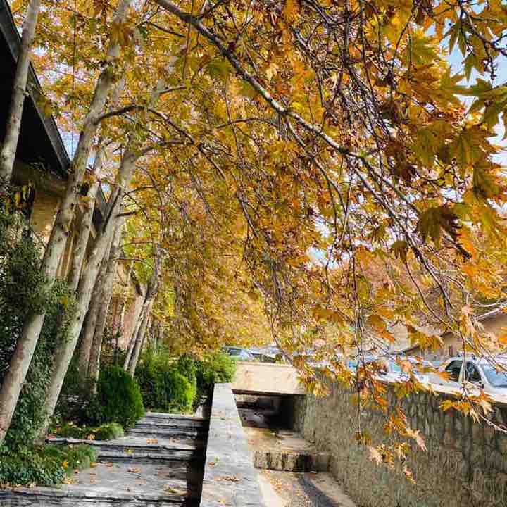 Alireza post 3