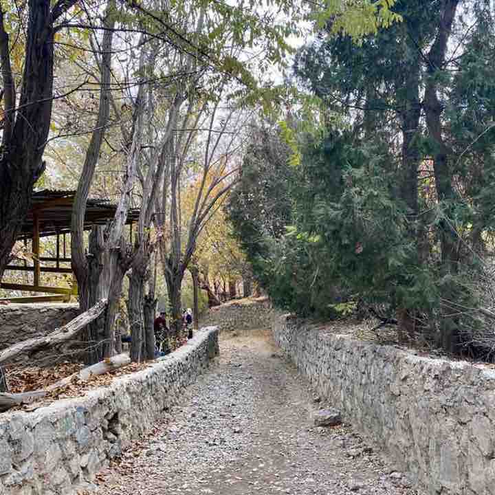 Alireza post 2