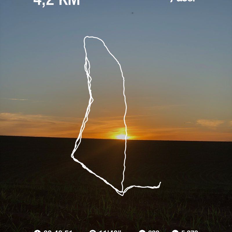 renatasalviato post 1