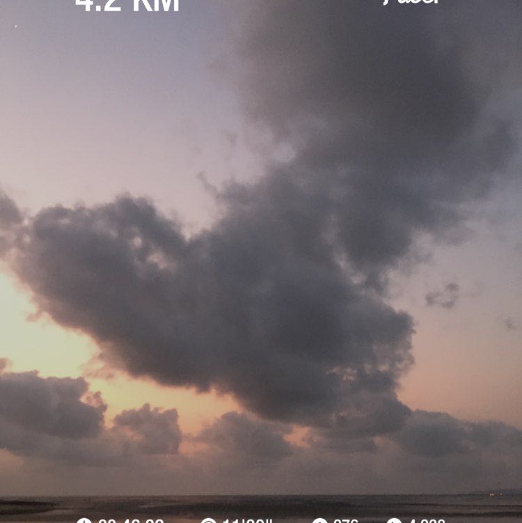 mohammadrezatorabizadeh61 post 1