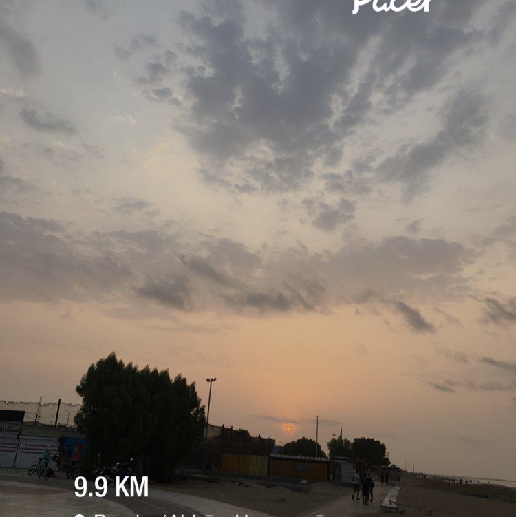 mohammadrezatorabizadeh61 post 1