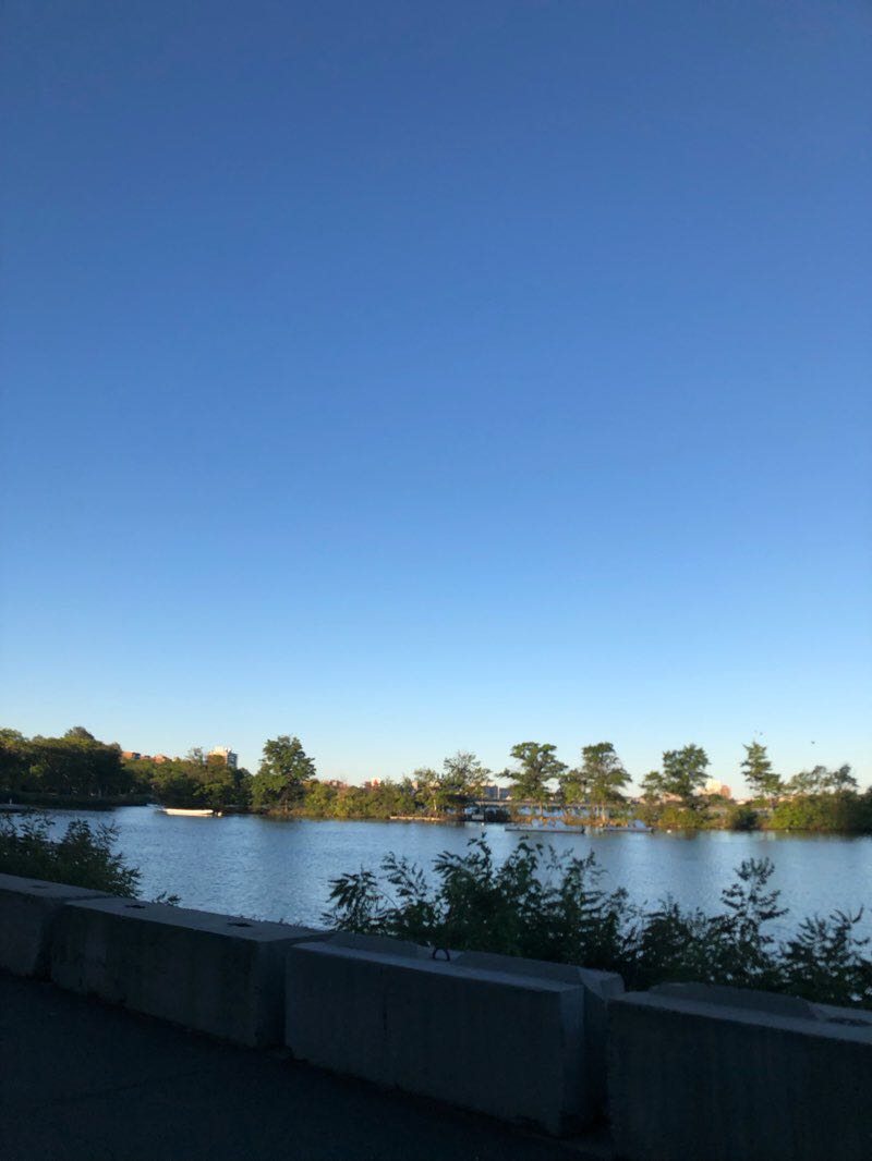 walking near me in Magazine Beach in winter