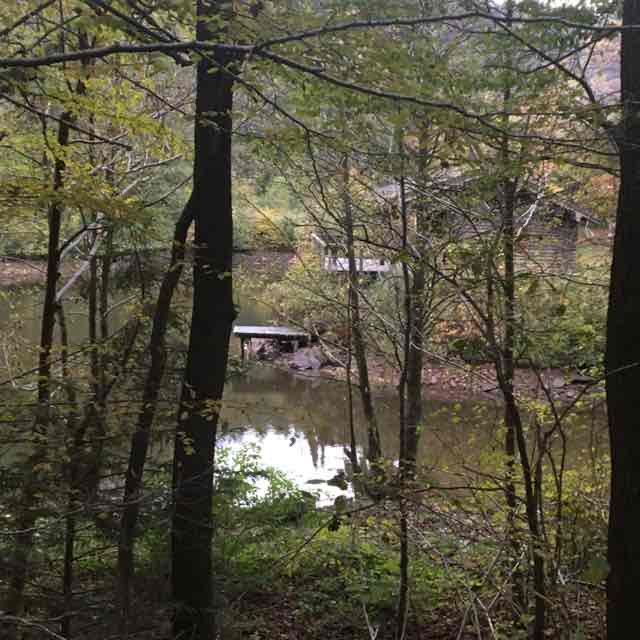 Michaux post 2