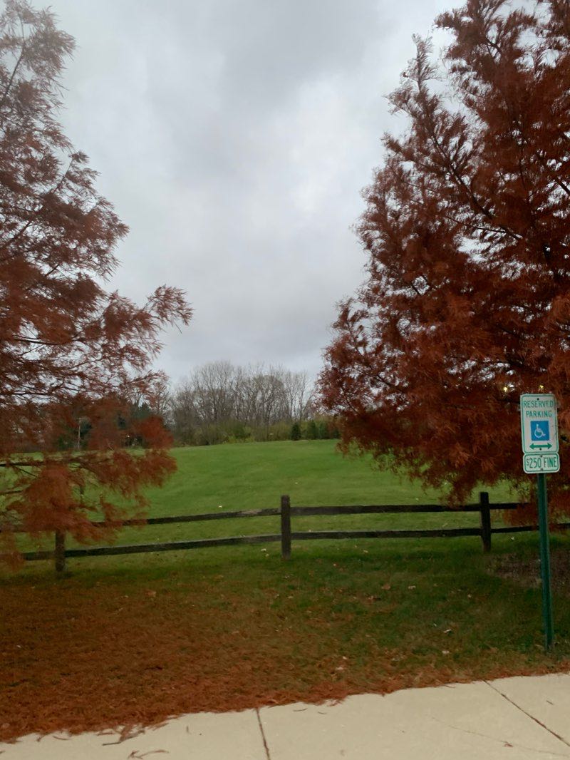 walking near me in Maryknoll Park in winter