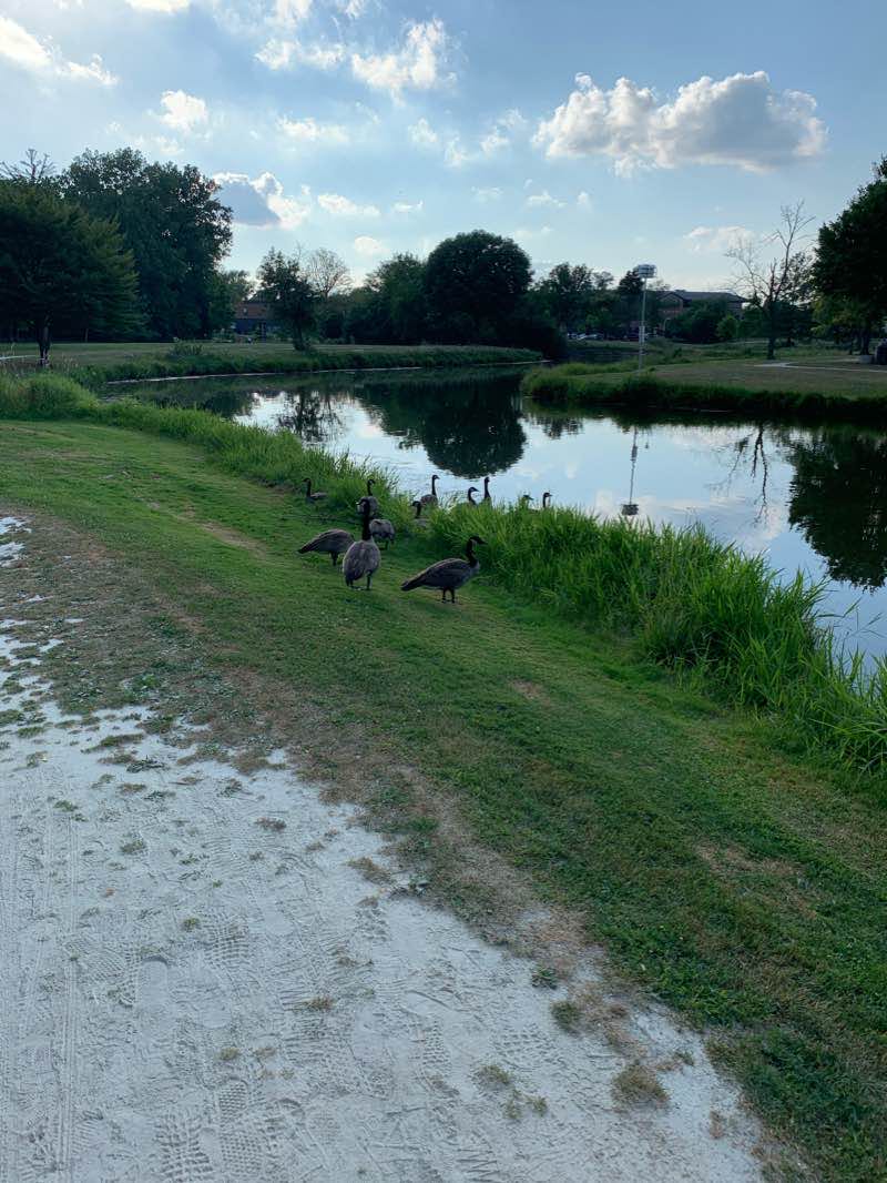 walking near me in Churchill Park in winter