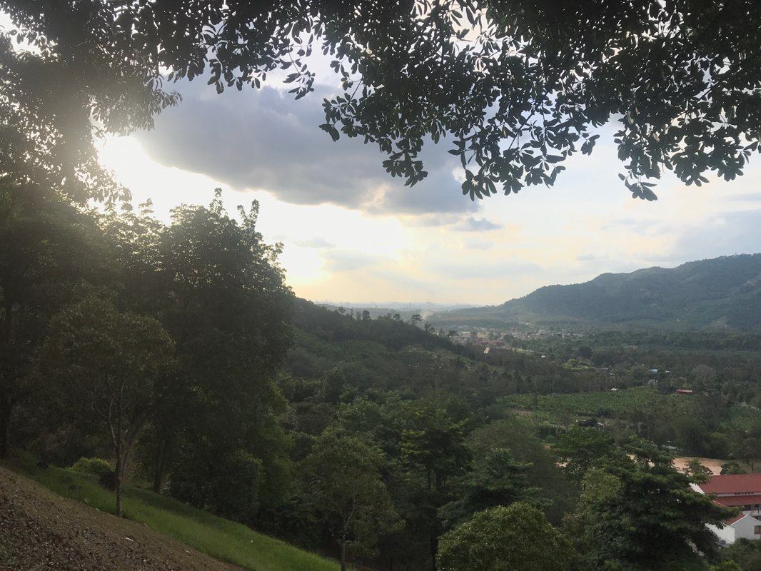 walking near me in Broga Hill Eco Garden in winter