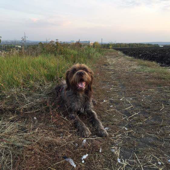 Олег Ситников post 1