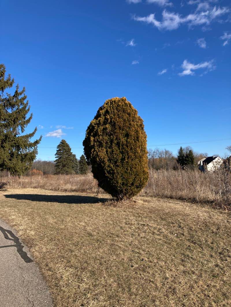 walking near me in Hickory Woods Park in winter