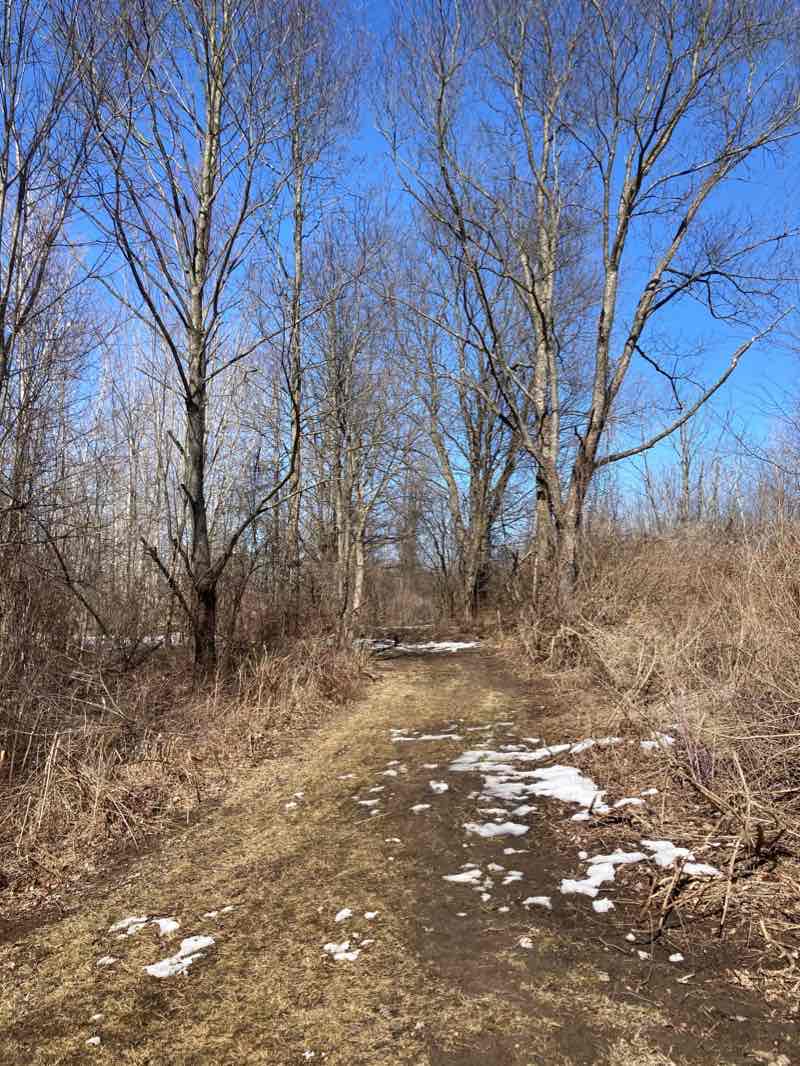 walking near me in Volunteer Park in winter